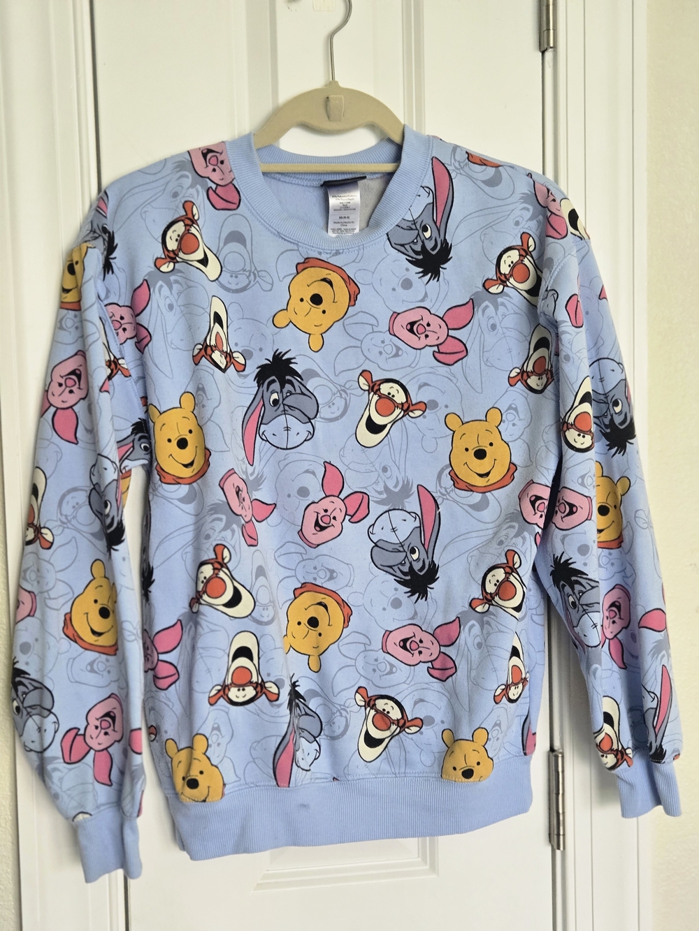 Disney Light Blue Winnie the Pooh & Friends Pullover Sweatshirt